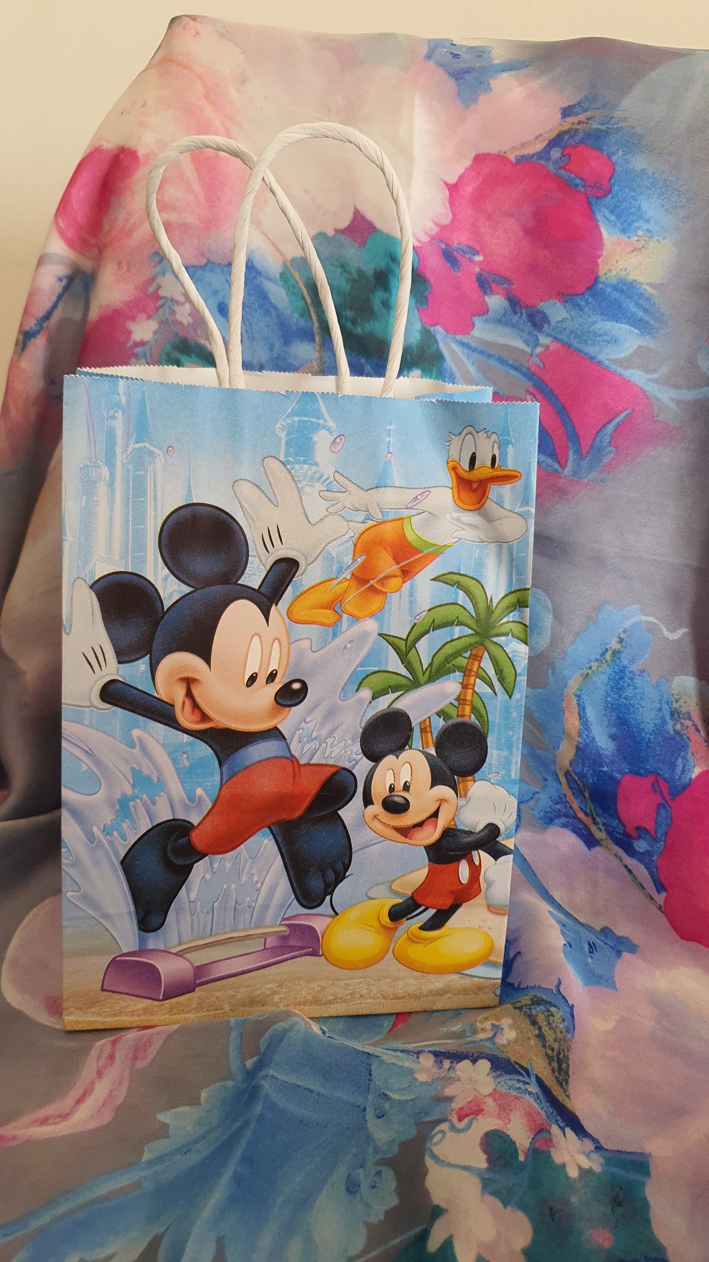 Busta di topolino o Minnie