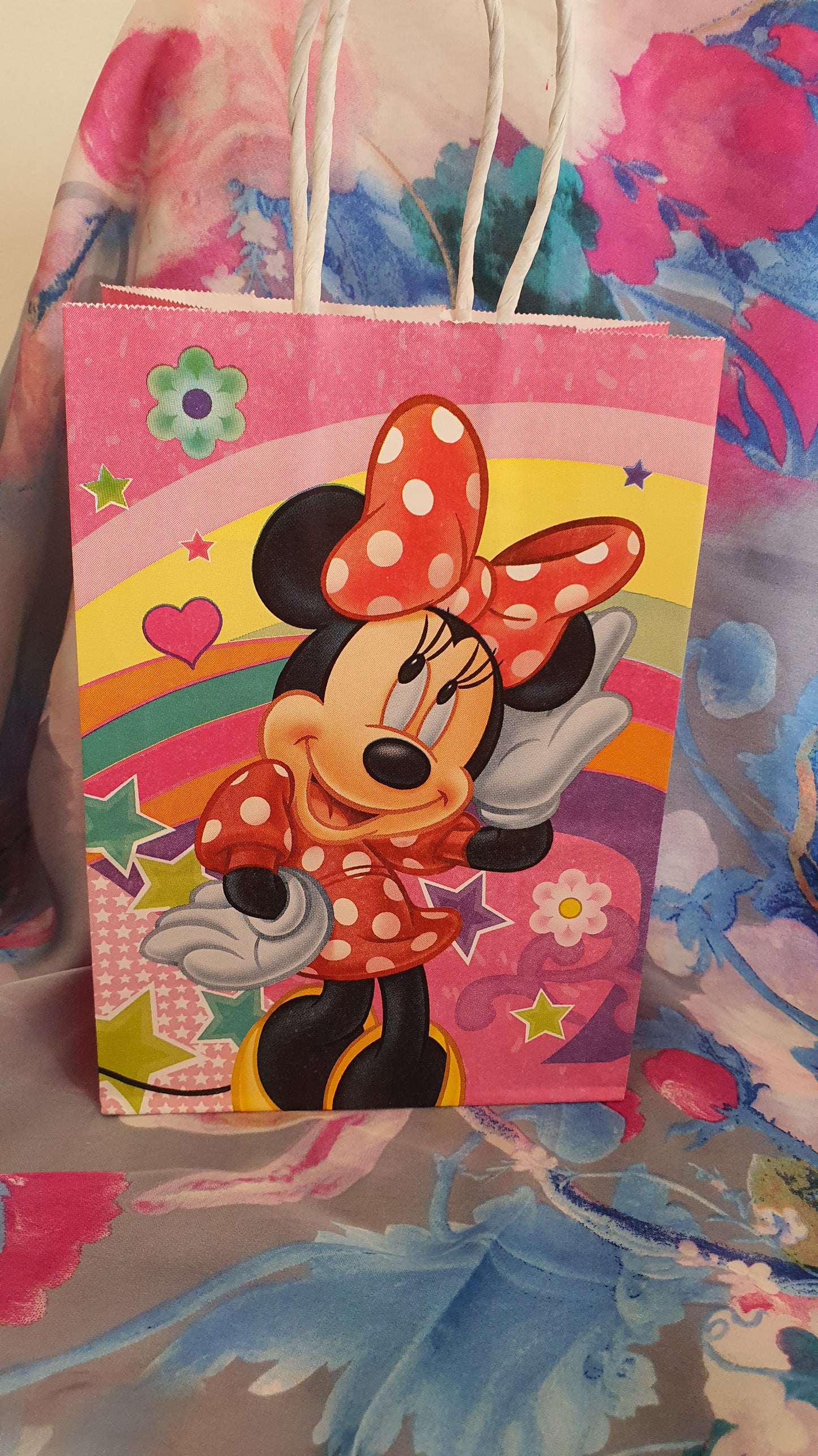 Busta di topolino o Minnie