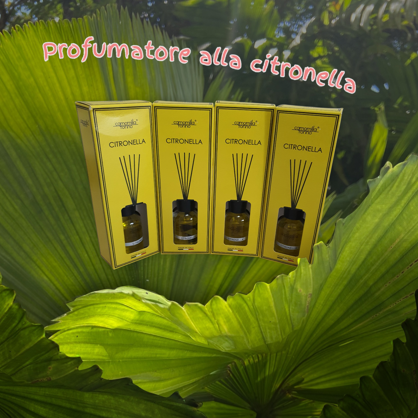 Profumatore alla citronella